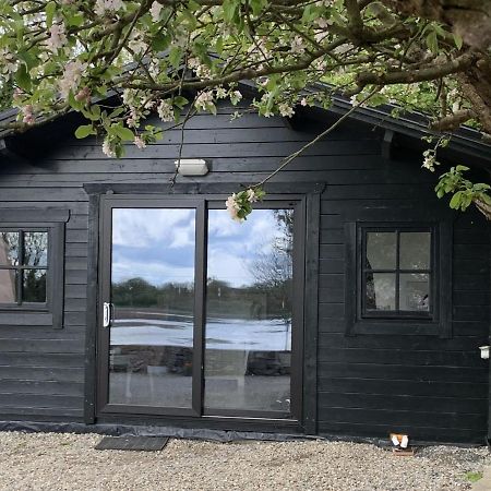 The Cosy Cabin By The Shore Galway Kültér fotó
