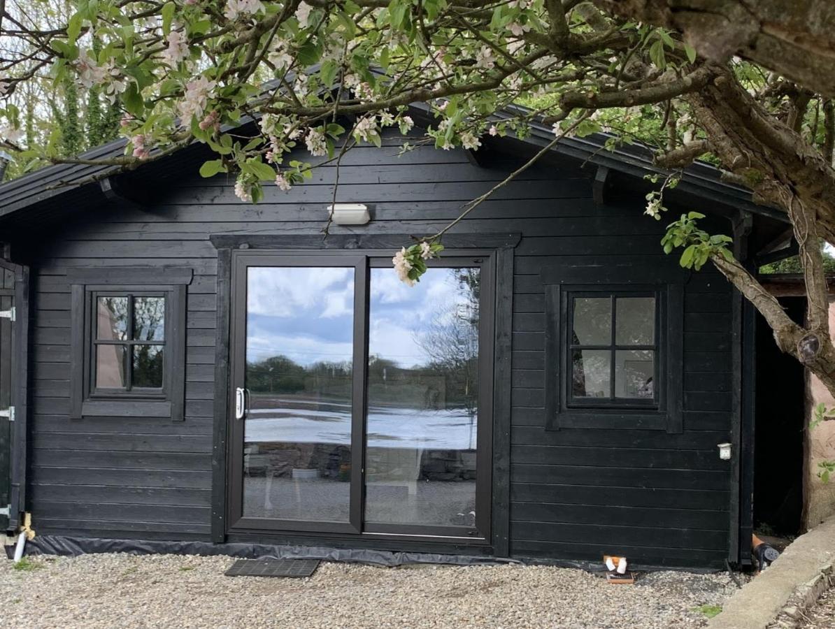 The Cosy Cabin By The Shore Galway Kültér fotó